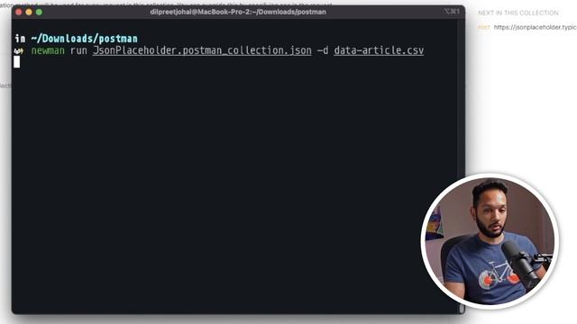 Newman Data Driven Testing | Newman Postman Tutorial смотреть онлайн