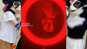 подборка видео из лайка|рапторы и фурри|№4