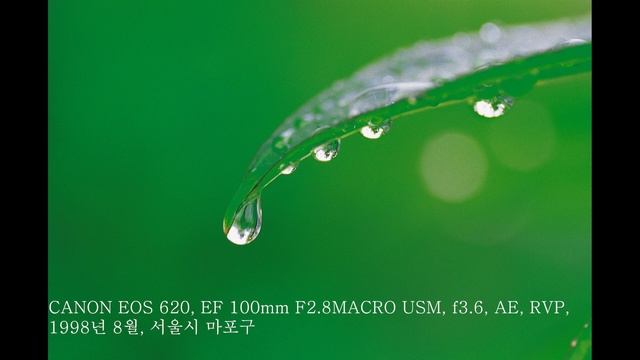 캐논 EOS 620 중고 필름카메라 성능과 촬영 결과물 смотреть онлайн