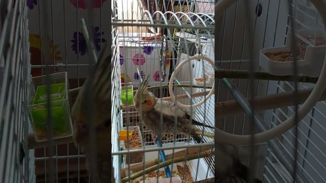 11 июня 2023 г. смотреть онлайн