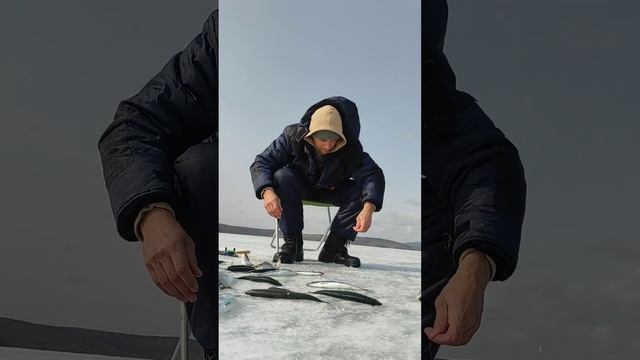 Сахалин. оз. Тунайча. Ловим Селёдку! смотреть онлайн