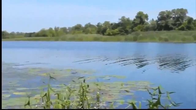 ДУХОВНОЕ РУКОВОДСТВО Святые отцы — мирянам смотреть онлайн