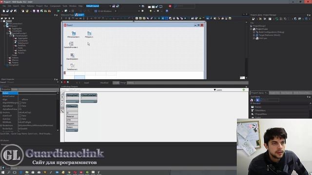 SqlLite post,update,delete и многое другое Rad Studio 10.2 смотреть онлайн