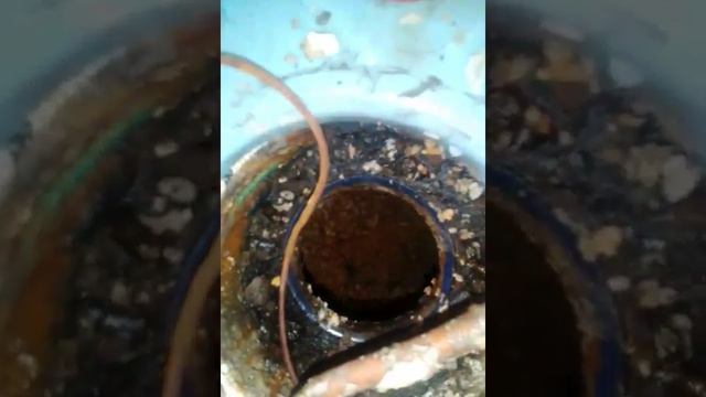 Что скапливается в водонагревателе смотреть онлайн