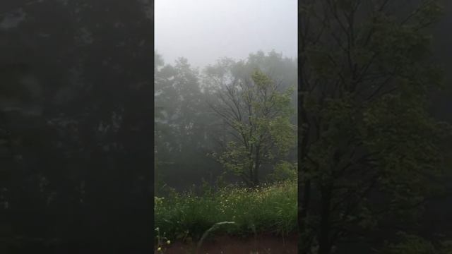 Утренняя роса на свежей траве? смотреть онлайн