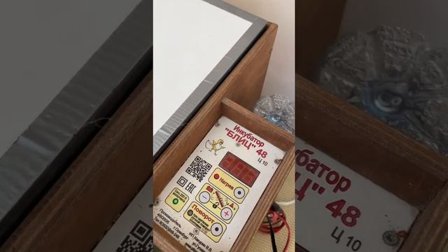 Как и в какое время закладываю яйцо перепелов в инкубатор,чтоб всегда с 9 утра до вечера выход птиц смотреть онлайн