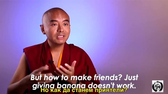 Как да тренираме маймунския си ум смотреть онлайн