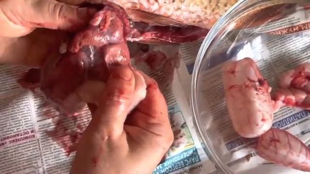 Разделка рыбы. Как почистить карпа смотреть онлайн