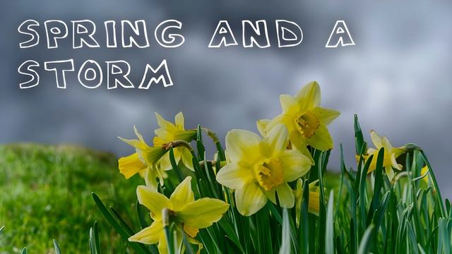 Tally Hall - Spring And A Storm demo (2022 remaster) смотреть онлайн