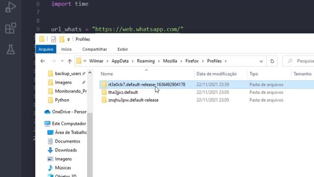 #python - WHATSAPP SESSION - ABRINDO FIREFOX COM USUÁRIO LOGADO (SELENIUM) смотреть онлайн