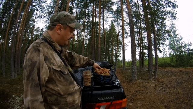 Природная аптека - Молодые побеги сосны. смотреть онлайн