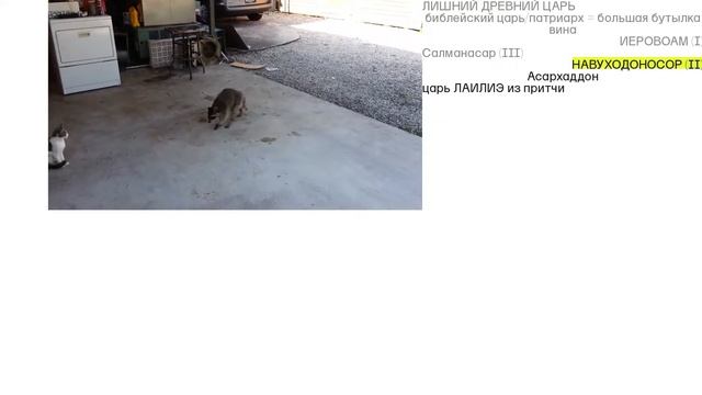 Сколько литров вмещает Навуходоносор? смотреть онлайн