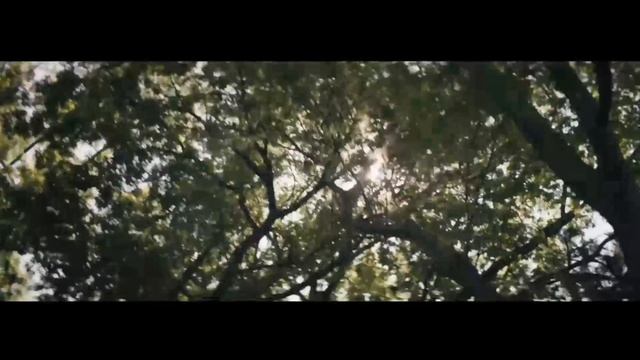 Доброе видео о том, что всегда нужно оставаться людьми. смотреть онлайн