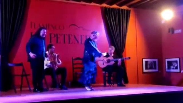 Maria La Manzanilla Tablao Flamenco La Petenera Granada смотреть онлайн