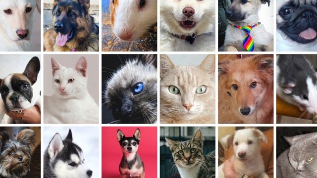 Отдам даром - Otdam.org смотреть онлайн