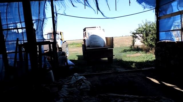 ?Купили Удобрение для Элитной Пшеницы! смотреть онлайн