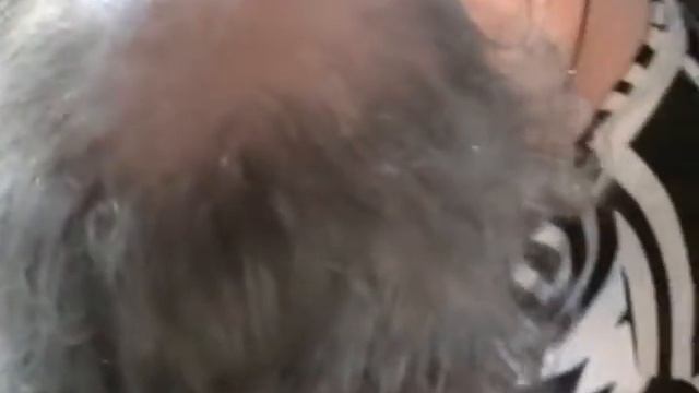 2013-06-19-В храме с Первомайское на Украине Игнатий Лапкин о своих книгах (179-180)