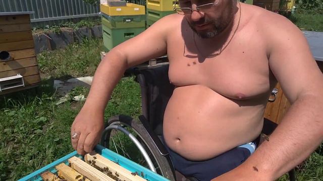 Пчеловод без ног. На пасеке у моего друга Андрея Гордеева. смотреть онлайн