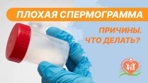 ? Плохая спермограмма. Причины. Что делать? Как улучшить спермограмму?
