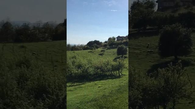 Рогашка Слатина. Прогулки скандинавского ходока 4.