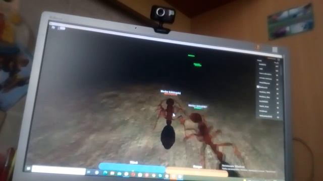 жизни за Муравья в Roblox