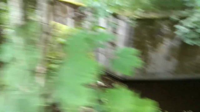 Велопоездка на озеро Скрытое смотреть онлайн