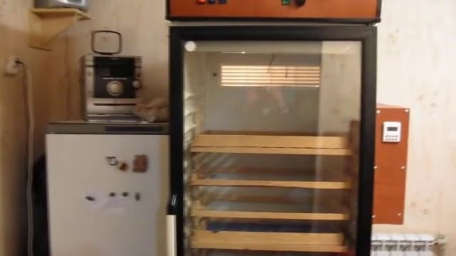 Образцовая перепелиная домашняя миниферма смотреть онлайн