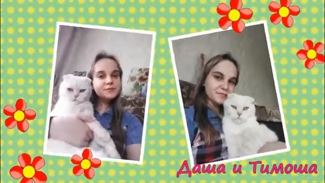 Флешмоб "Мы и питомцы" смотреть онлайн