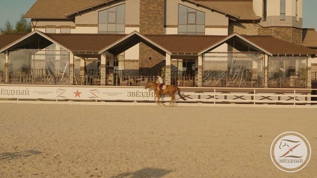 Конкурная тренировка. Подготовка к соревнованиям. Тренер Алиса Олейник. смотреть онлайн