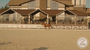 Конкурная тренировка. Подготовка к соревнованиям. Тренер Алиса Олейник.