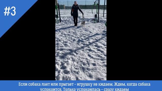 СТОП игра смотреть онлайн