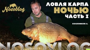 Ловля карпа ночью, Колесников А.