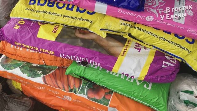 СЕПТОРИОЗ ГОРТЕНИЗИИ. ДОЖДЕВЫЕ ЧЕРВИ-ПОЛЬЗА ИЛИ ВРЕД.КАК УЗНАТЬ, ЧТО ОНИ ЕСТЬ. смотреть онлайн