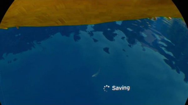 How to catch ARTAR - Catch and Release VR