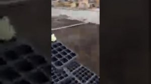 Монтаж эко решетки парковочной