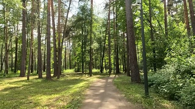 "Вам дочка не нужна?" - спрашивала осиротевшая малышка, сбежав из детдома… Если бы она только знала смотреть онлайн