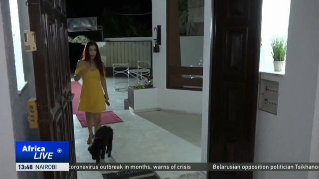 Pet House; Tunisia’s hotel for dogs смотреть онлайн