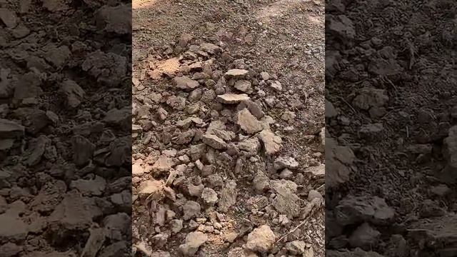 Weeding Rake Hardened Agricultural Cultivator Rake Durable Gardening Hoe Weeding Removal Rake смотреть онлайн