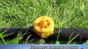 Компенсированная капельница для капельного полива 1