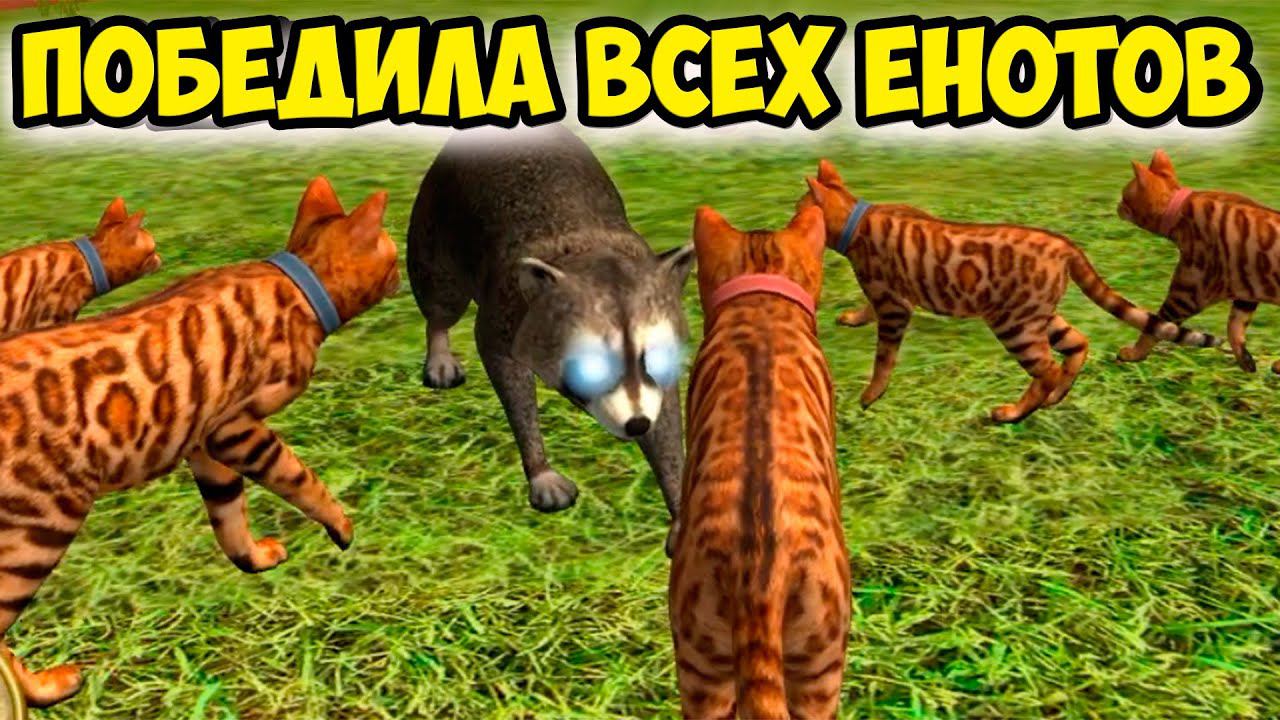 Симулятор КОТА и КОШКИ ПОБЕДИЛА всех ЕНОТОВ в СИМЕ cat sim смотреть онлайн