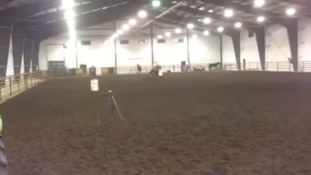 Brook Robertson & Shesa Jetn (daughter of Perfect Possibility) смотреть онлайн