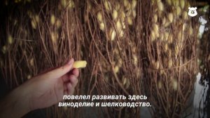 Дербент: город из прошлой эры