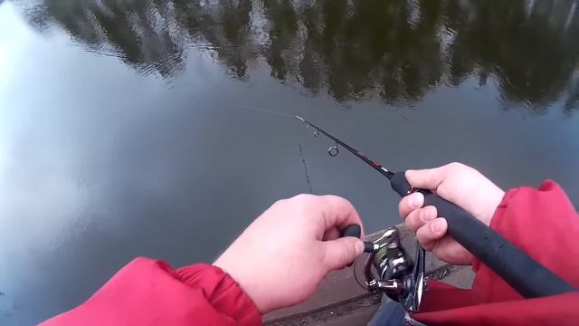 Эксклюзивное видео предсерийный образец.Тест TsuYoki RAIDER 125SP тест в бассейне и на  озере