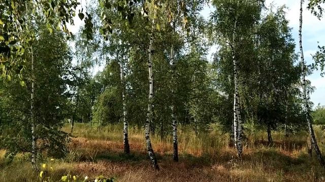 30 августа.ДЕНЬ МИРОНА.Вдовьи помочи Что нельзя делать. смотреть онлайн