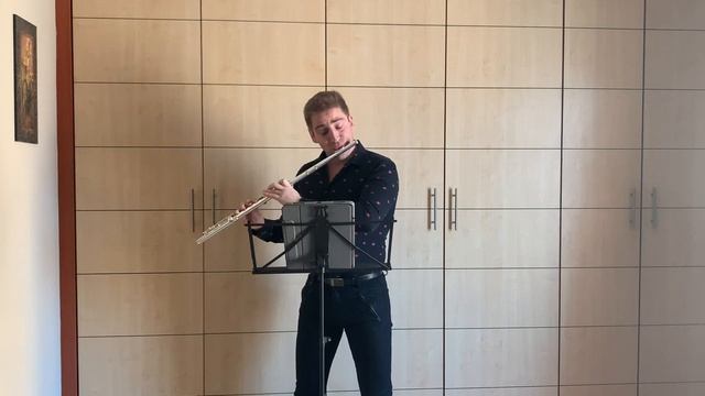 Krzysztof Zgraja. 3 Virtuoso Flamenco Studies for flute solo. No.1 смотреть онлайн