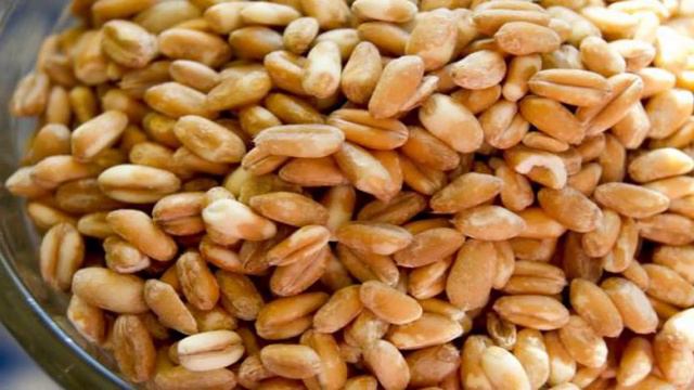 1000 и 1 рецепт