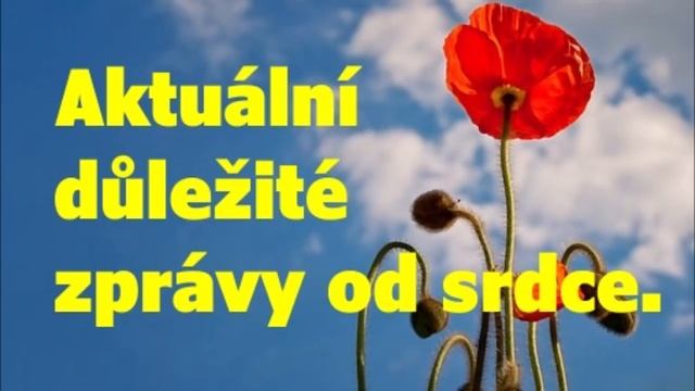 Aktuální důležité zprávy od srdce смотреть онлайн
