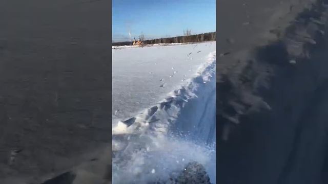 катание на мото собаке