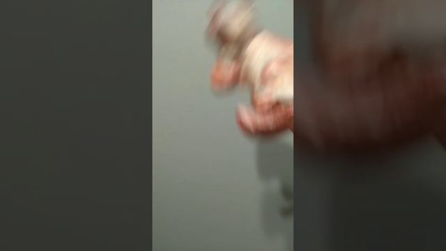 Кто лучше? Новый кот или оригами когти? смотреть онлайн