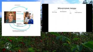 Монополия (Володя Батхёртов)